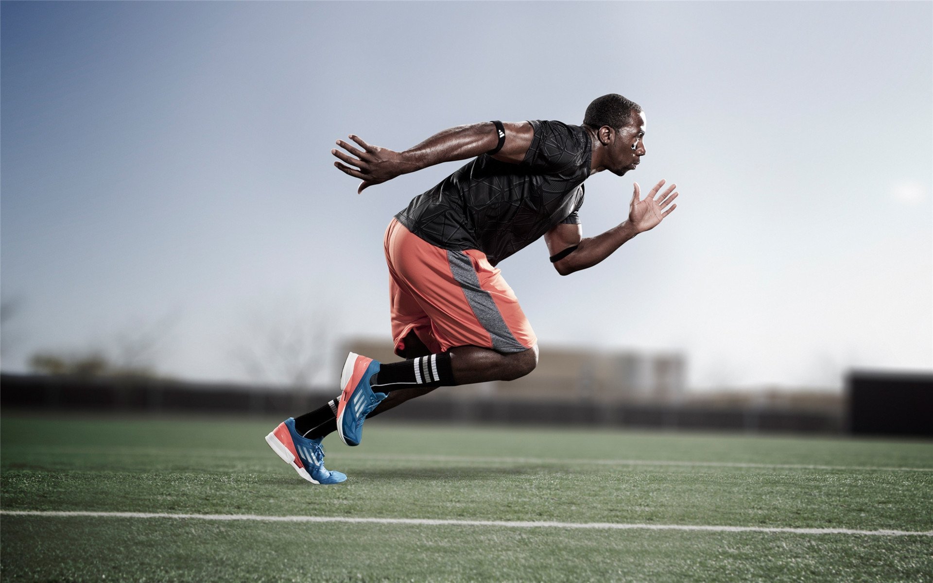 _节能动力雪橇：绿色出行开启新纪元_，雪橇的动力