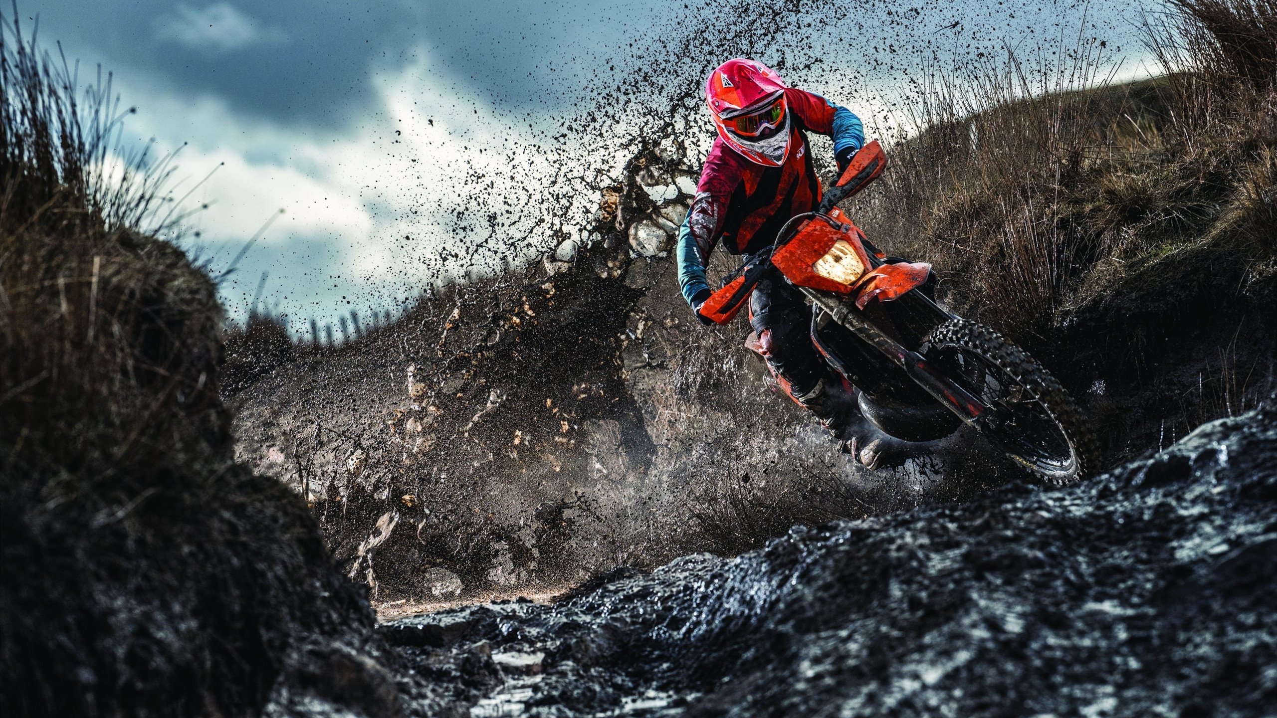 《电竞冠军背后的团队支撑：幕后英雄谁与争锋？》，电竞职业选手冠军